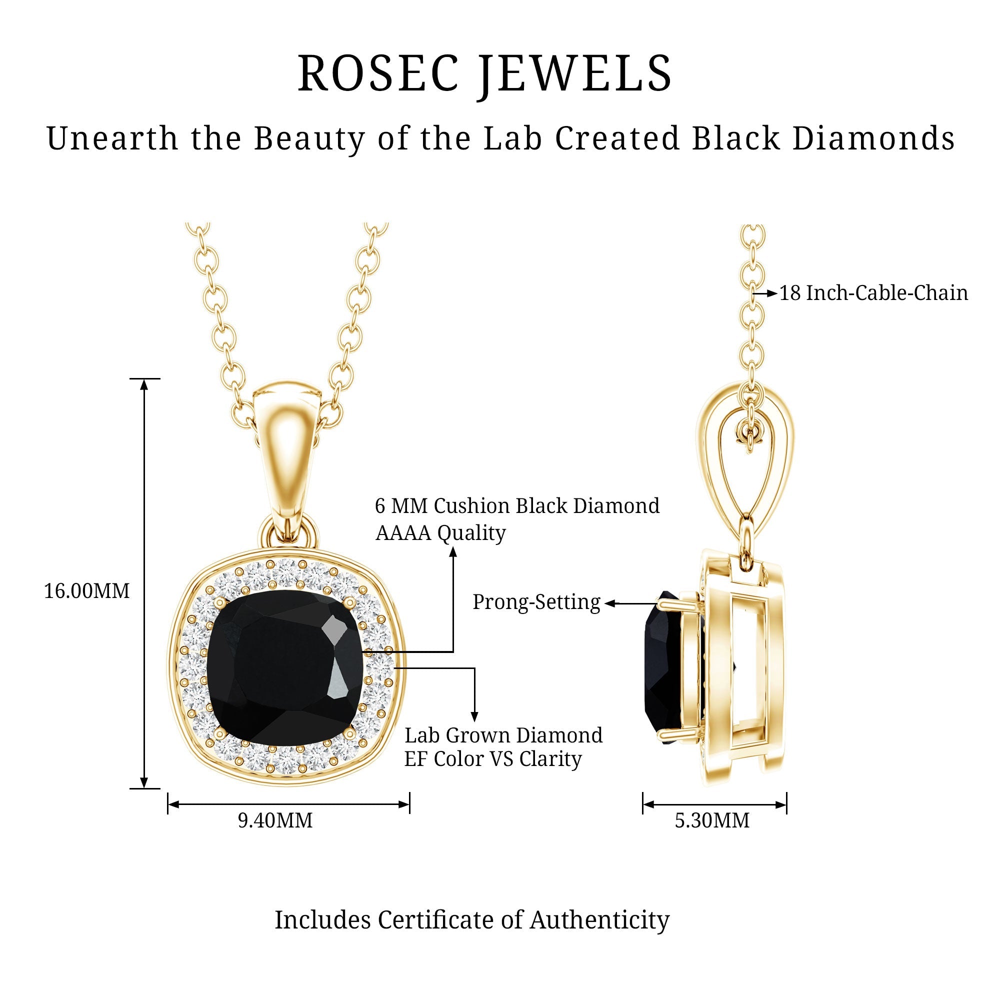 1.8 Carat Lab Grown Black and White Diamond Halo Necklace with Silver Chain